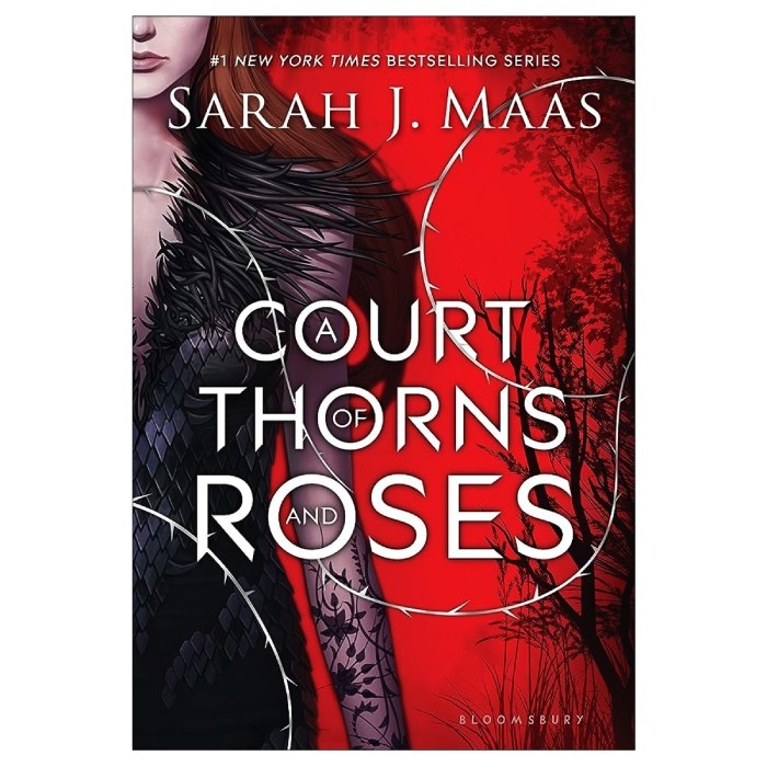 خرید کتاب A Court of Thorns and Roses