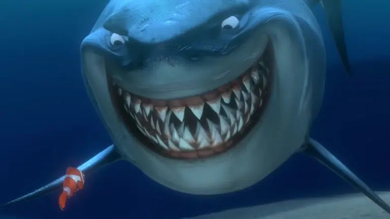 انیمیشن در جستجوی نمو