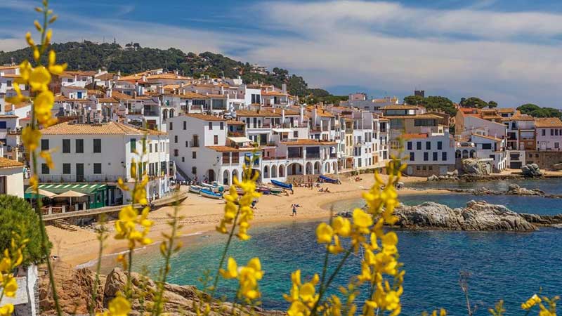 کره‌ای، ژاپنی، ایتالیایی، پرتغالی، هندی و عربی سایر زبان‌هایی هستند که یادگیری آن‌ها به‌عنوان زبان سوم به‌دلایل مهاجرتی، فرهنگی، شغلی و تحصیلی پیشنهاد می‌شود.