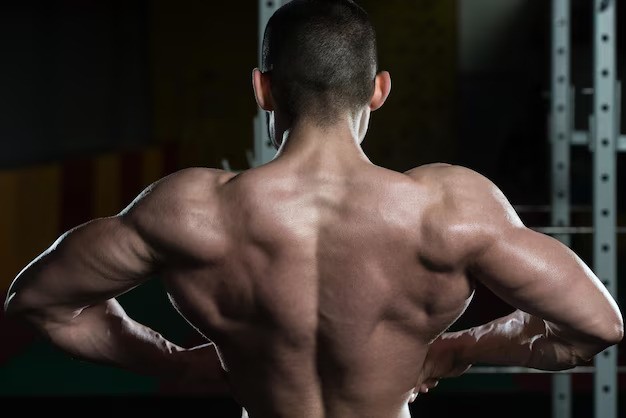Back Lat Spread (زیربغل از پشت)