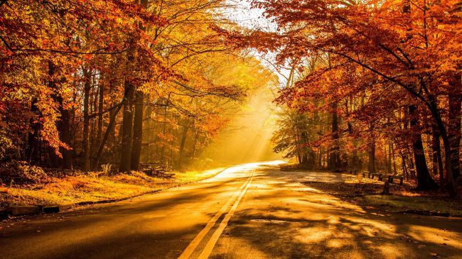 نمونه متن کوتاه پاییزی برای استوری انگلیسی