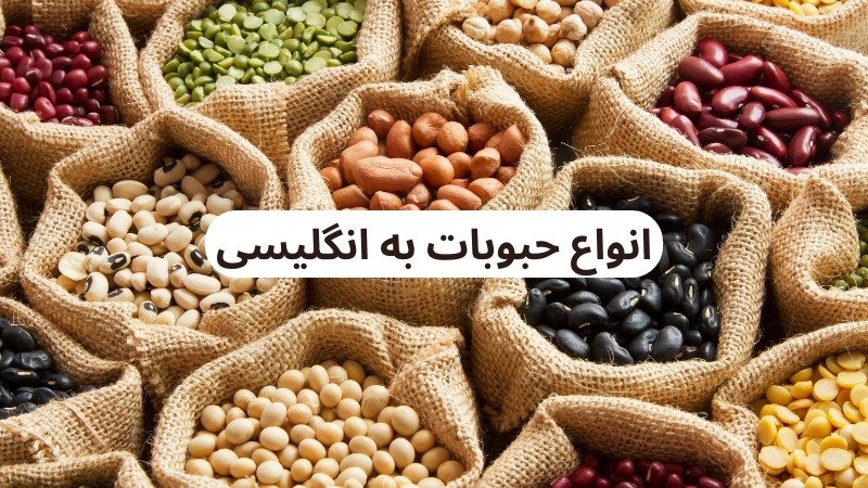 آجیل به انگلیسی