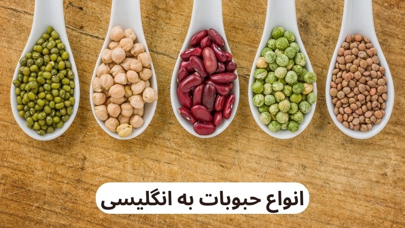 انواع حبوبات به انگلیسی