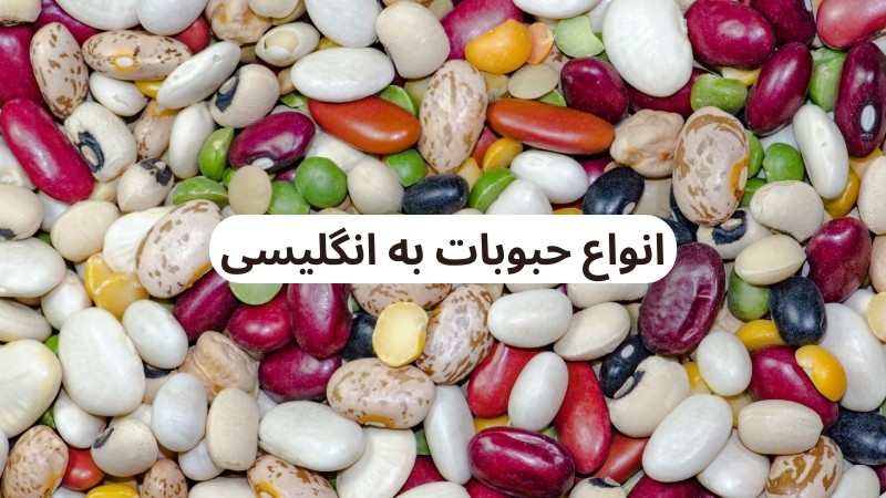 لوبیا به انگلیسی