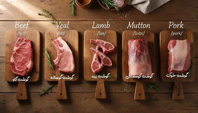 گوشتهای قرمز همراه با معنی و تلفظ