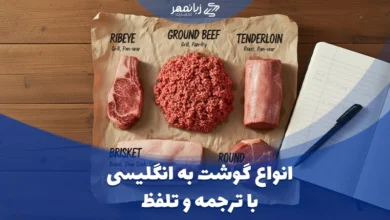 انواع گوشت به انگلیسی با ترجمه و تلفظ