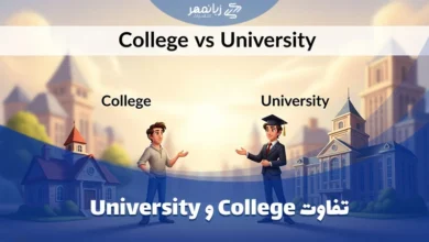 تفاوت College و University