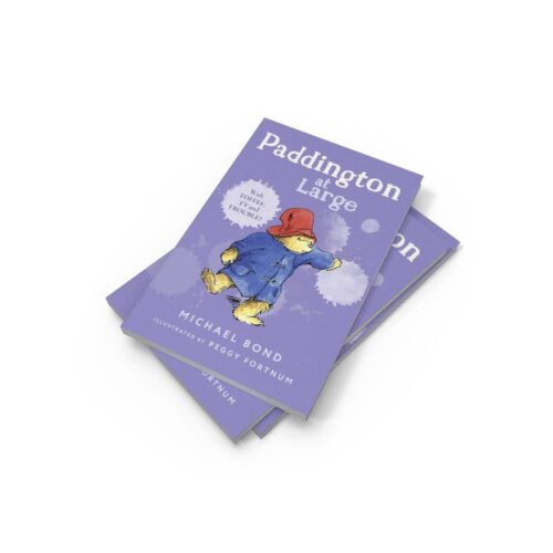 رمان Paddington at large