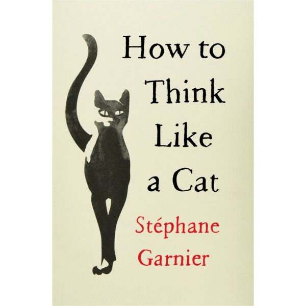How to Think Like a Cat