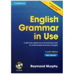 English-Grammar-in-use